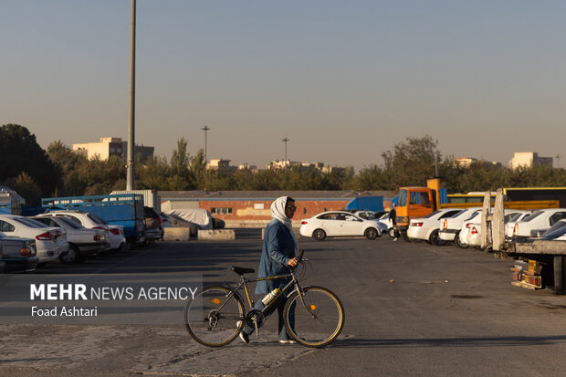 همایش دوچرخه سواری بازنشستگان تهران 9