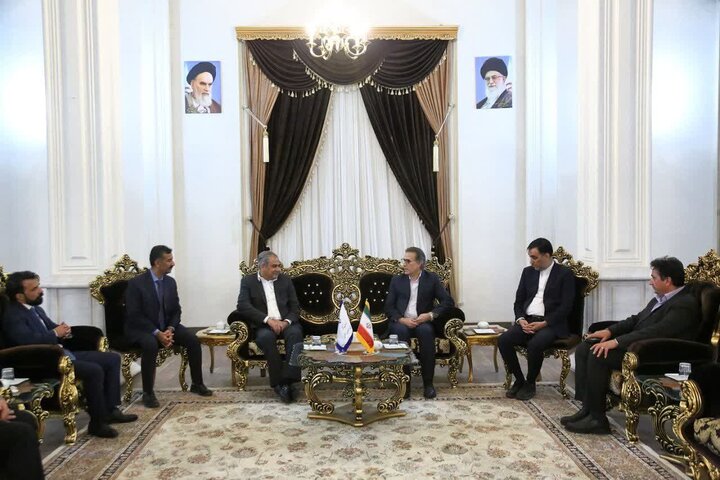 نبی پور:مشهد دارای ظرفیت‌های منحصر به فردی در حوزه گردشگری سلامت است