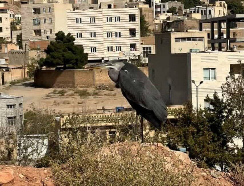پرندگان،مهاجر،زيست،محيط