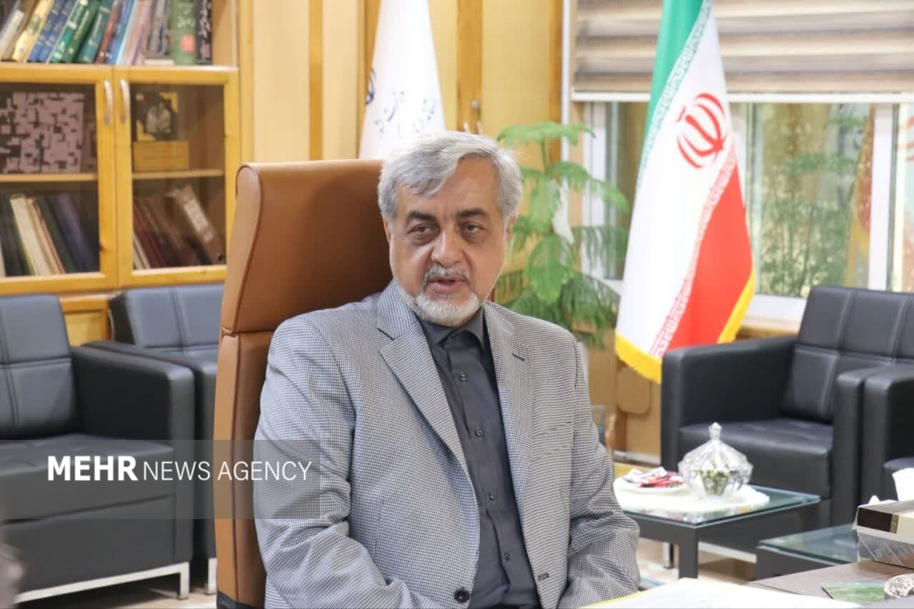 میرغضنفری: بیمهها در ارتقای امنیت اجتماعی مردم نقش کلیدی دارند میرغضنفری: بیمهها در ارتقای امنیت اجتماعی مردم نقش کلیدی دارند