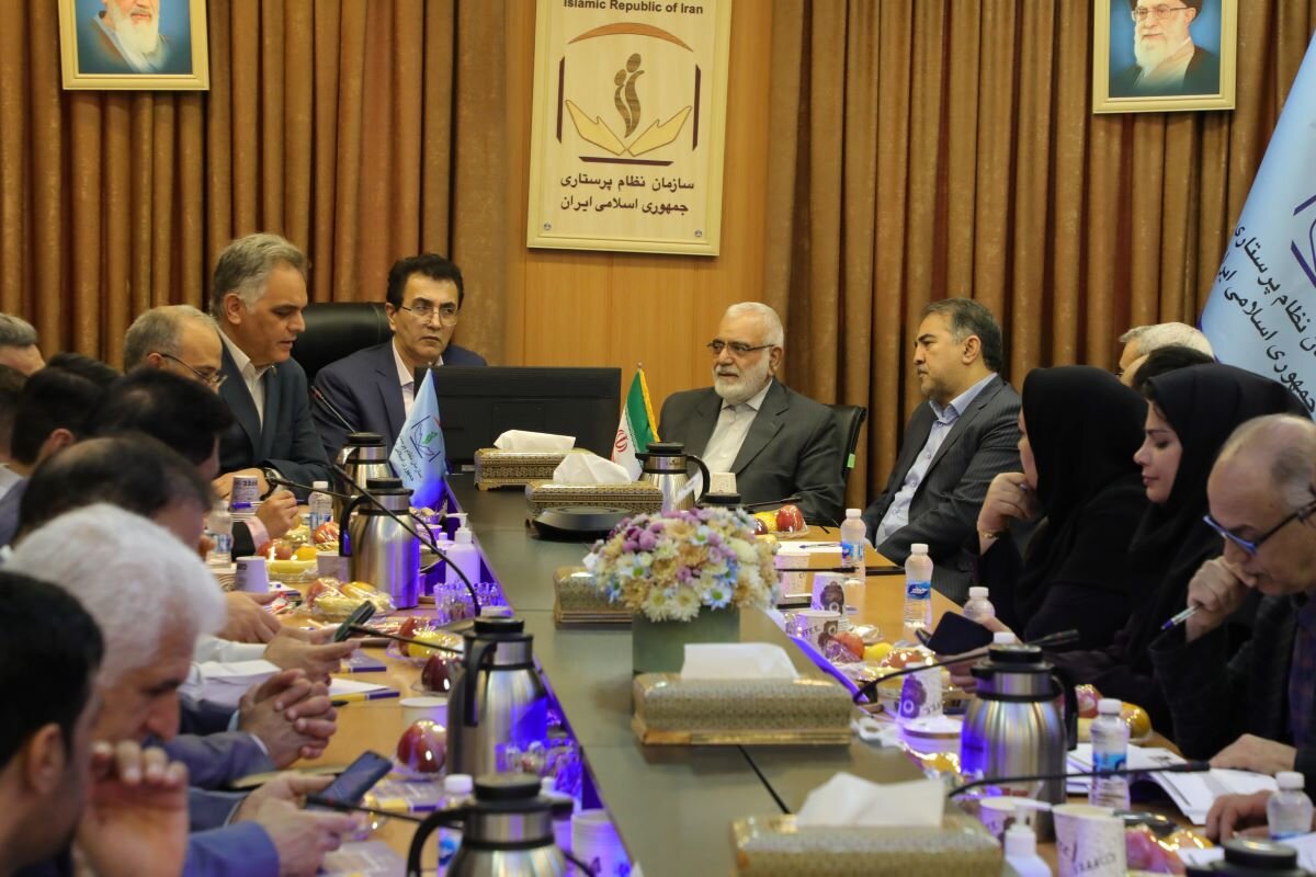 پرستاري،نظام،ظرفيت،بهداشت،آموزش،سازمان،پرستار،وزارت،ابوطالبي ...