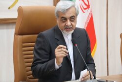 میرغضنفری: باور و نگرش خانواده ها محور اصلی «جوانی جمعیت» است