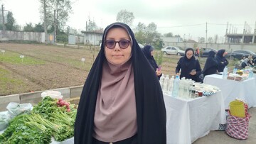 بذرکار: کشت پاییزه فرصتی برای افزایش بهره‌وری زمین‌های کشاورزی است