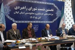 کردونی: گیلان میراث‌ دار توسعه‌ای ناپایدار است