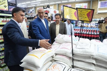 کشیتی: ۲۵۴ گشت مشترک نظارتی، قیمت ها را در بازار کرمان کنترل کردند