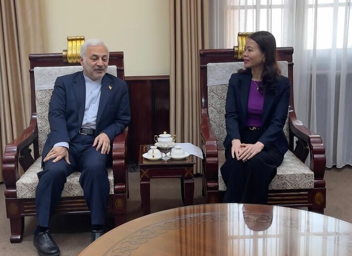 Iran, Vietnam deputy FMs confer on consular affairs