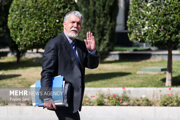 حاشیه جلسه هیئت دولت