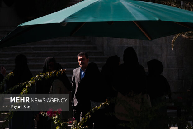 حاشیه جلسه هیئت دولت