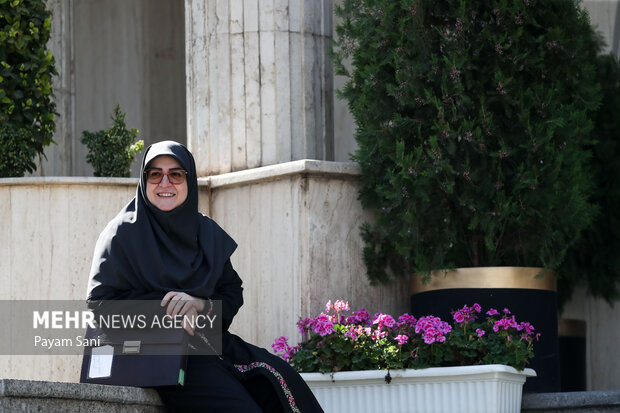 حاشیه جلسه هیئت دولت