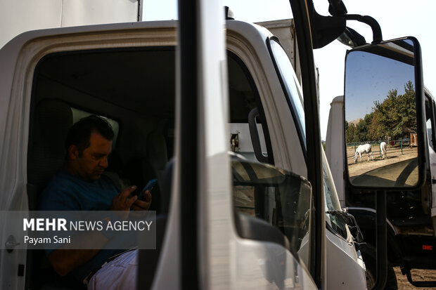 لیگ ملی چوگان ایران