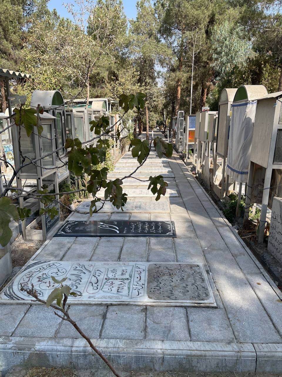 صفر تا صد «بهسازی گلزار شهدا»؛ پشت‌پرده اعتراض‌ها چه می‌گذرد؟