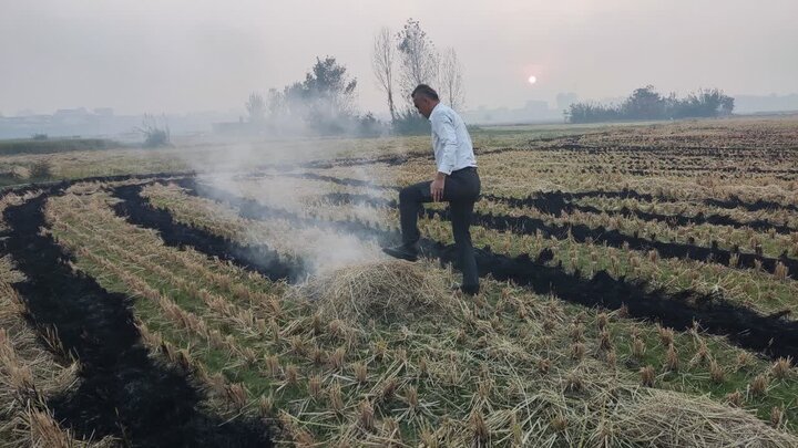 بحران زیست‌محیطی در بابل؛ دود کاه به چشم آسمان می رود