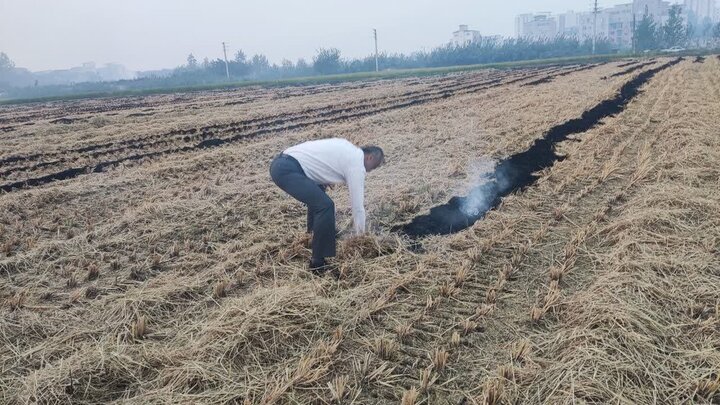 بحران زیست‌محیطی در بابل؛ دود کاه به چشم آسمان می رود