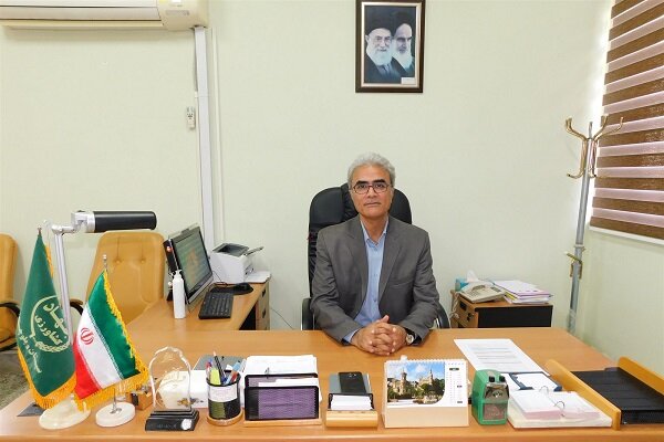 نژاد گاو اصیل سیستانی؛ میراث ژنتیکی ایران و ستون اقتصاد بومی 2