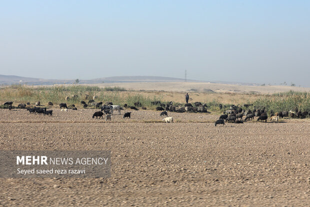 بازدید رئیس جمهور از خطوط راه آهن حومه ای استان تهران