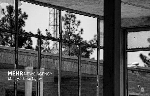 حال ناخوش مزار خفتگان باغ رضوان قم