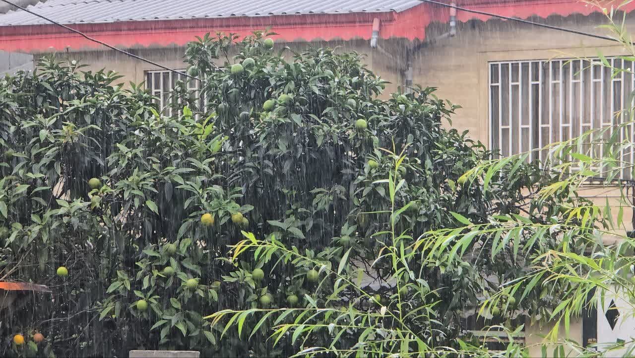 بارش باران سیل‌آسا در لنگرود