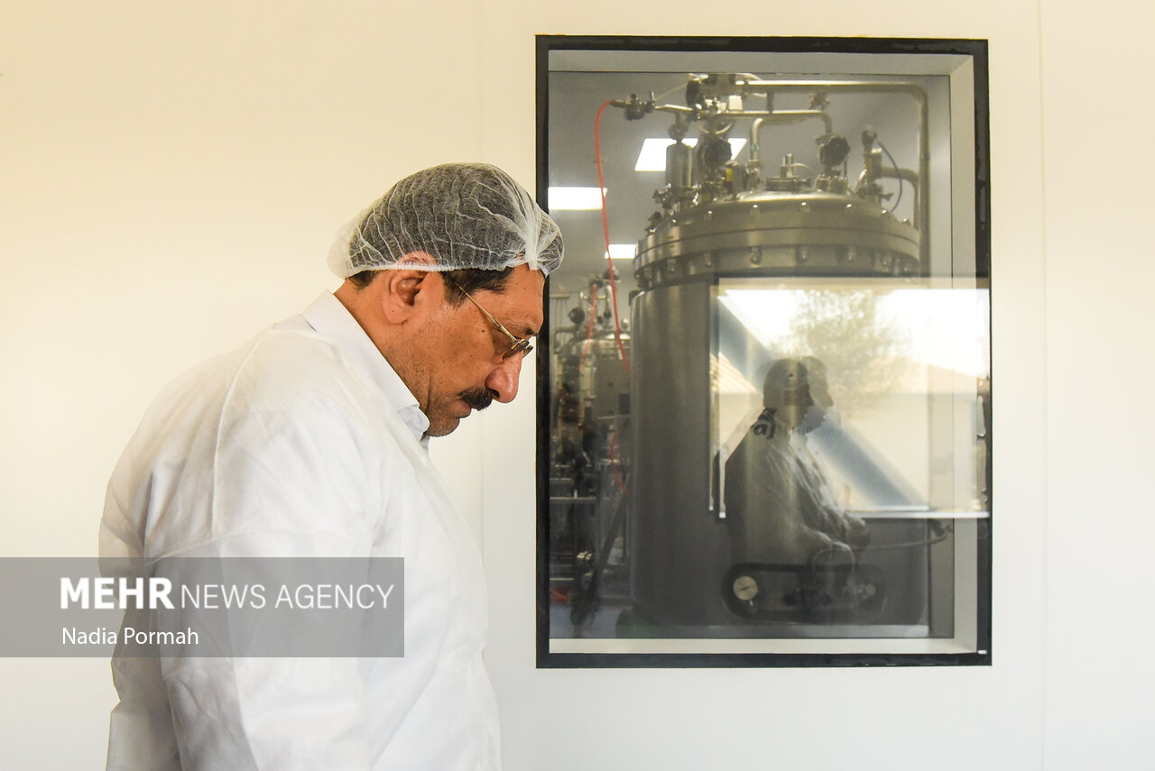 افتتاح،بازديد