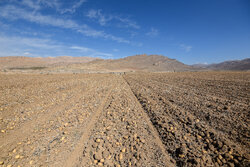 میرکریمی: ۲ هزار هکتار زمین به محدوده شهری خراسان شمالی الحاق می‌شود