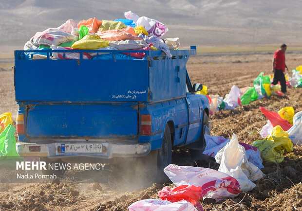 فیروزکوه؛ قطب تولید سیب‌زمینی و نقطه شروع توانمندسازی زنان