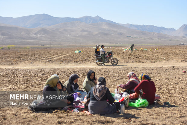 فیروزکوه؛ قطب تولید سیب‌زمینی و نقطه شروع توانمندسازی زنان