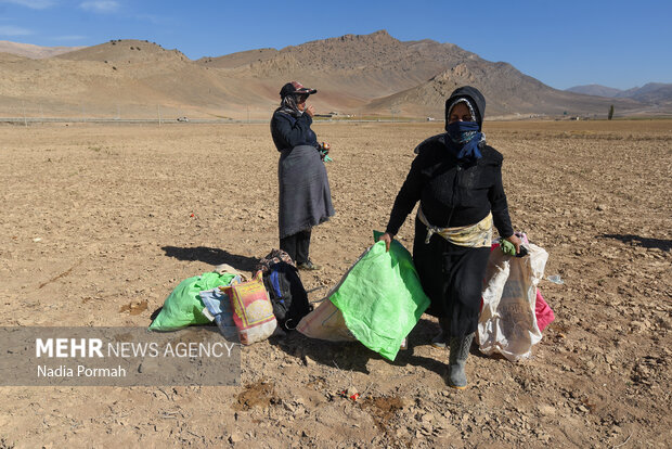 فیروزکوه؛ قطب تولید سیب‌زمینی و نقطه شروع توانمندسازی زنان