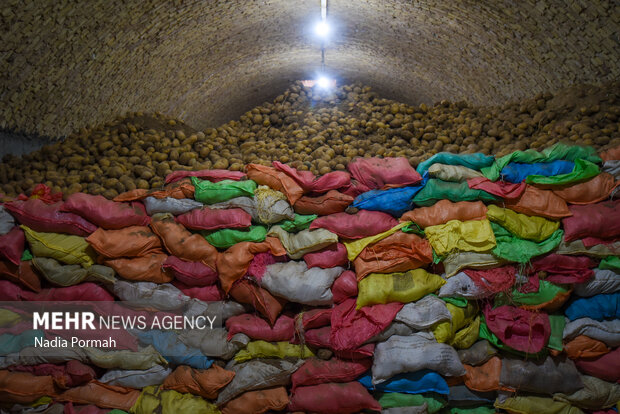 فیروزکوه؛ قطب تولید سیب‌زمینی و نقطه شروع توانمندسازی زنان