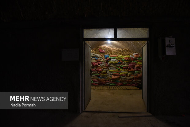 فیروزکوه؛ قطب تولید سیب‌زمینی و نقطه شروع توانمندسازی زنان