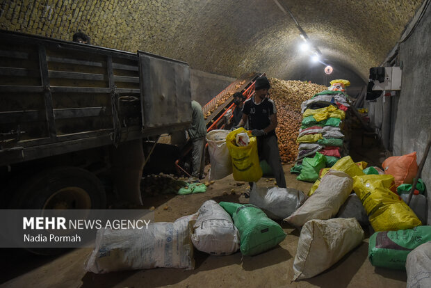 فیروزکوه؛ قطب تولید سیب‌زمینی و نقطه شروع توانمندسازی زنان