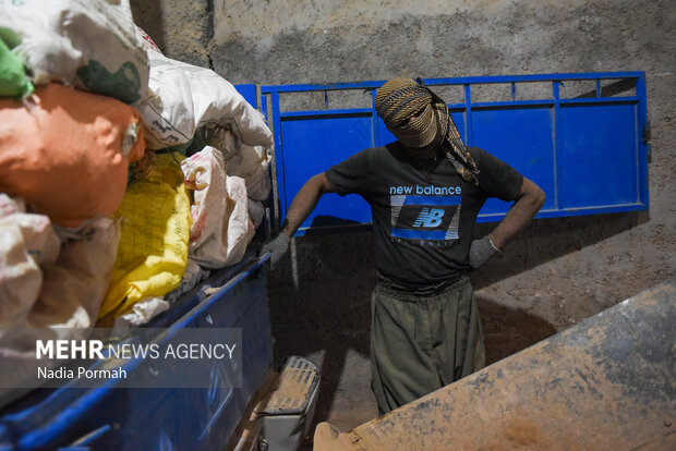 فیروزکوه؛ قطب تولید سیب‌زمینی و نقطه شروع توانمندسازی زنان