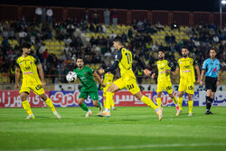 مصاف ۴ تیم لیگ برتری با لیگ یکی‌ها/ چالش «زمین» برای استقلال و ساپینتو