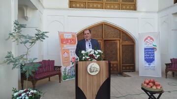 حسینی: انار نماد هویت و فرهنگ این شهرستان ساوه است