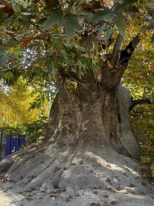 خشوئیه؛ ونیز ایران گمشده در دل اصفهان