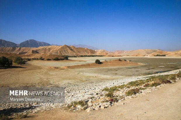 مرگ دست جمعی ماهی در سد عبدل آباد بجنورد