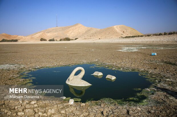 مرگ دست جمعی ماهی در سد عبدل آباد بجنورد