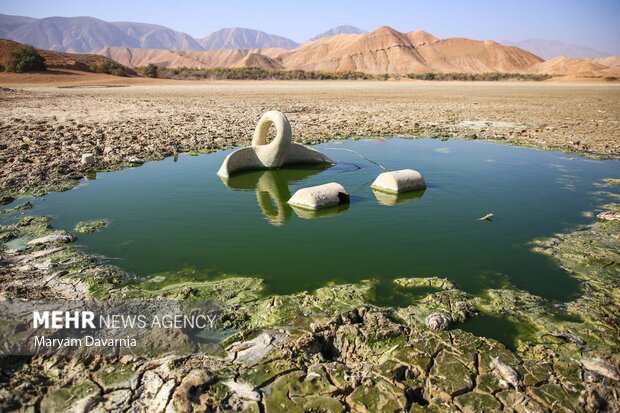 مرگ دست جمعی ماهی در سد عبدل آباد بجنورد