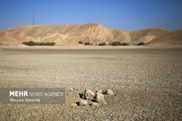 مرگ دست جمعی ماهی در سد عبدل آباد بجنورد