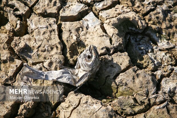 ششمین خشکسالی پیاپی در ایران؛ تا آذرماه خبری از بارشهای پاییزی نیست