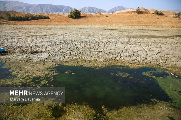 مرگ دست جمعی ماهی در سد عبدل آباد بجنورد