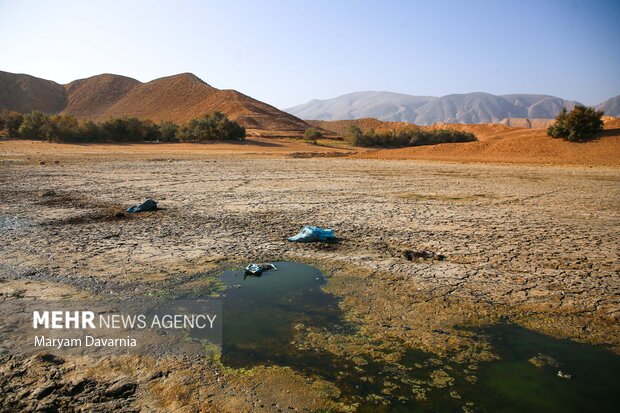 مرگ دست جمعی ماهی در سد عبدل آباد بجنورد
