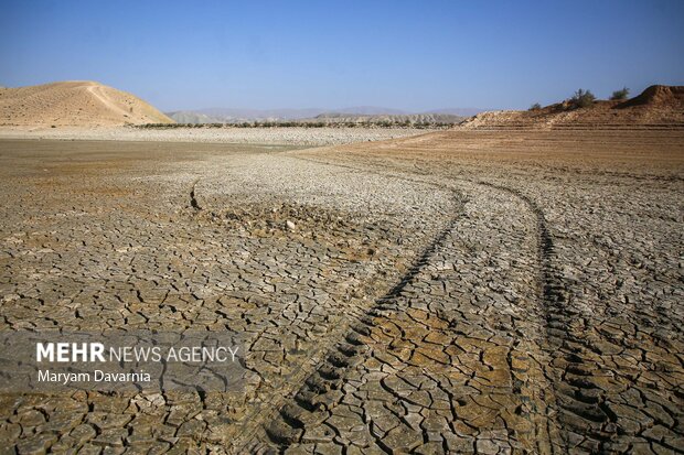 مرگ دست جمعی ماهی در سد عبدل آباد بجنورد