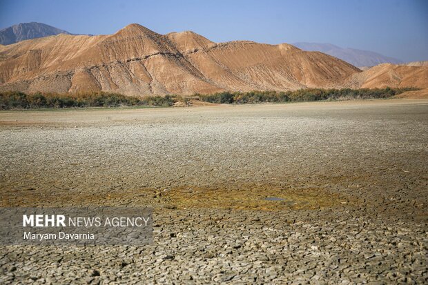 مرگ دست جمعی ماهی در سد عبدل آباد بجنورد