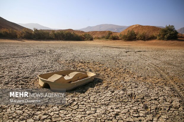 مرگ دست جمعی ماهی در سد عبدل آباد بجنورد
