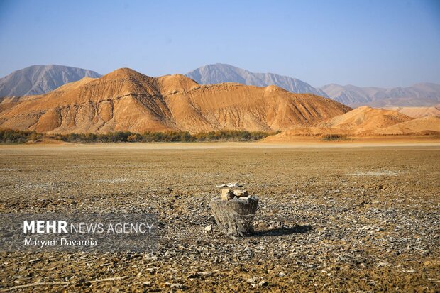 مرگ دست جمعی ماهی در سد عبدل آباد بجنورد