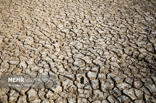 مرگ دست جمعی ماهی در سد عبدل آباد بجنورد