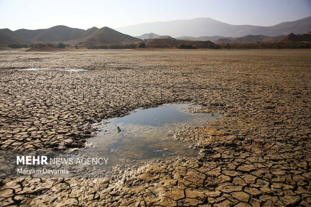 مرگ دست جمعی ماهی در سد عبدل آباد بجنورد