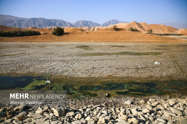 مرگ دست جمعی ماهی در سد عبدل آباد بجنورد