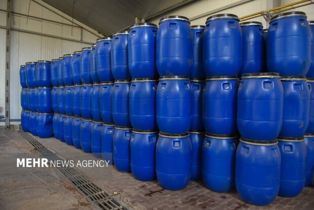 تولید رب گوجه فرنگی