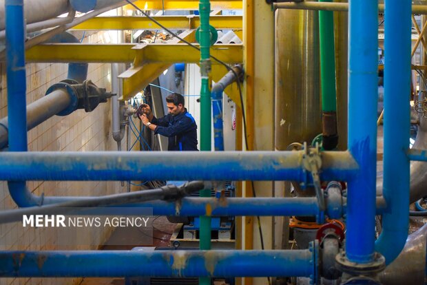 تولید رب گوجه فرنگی