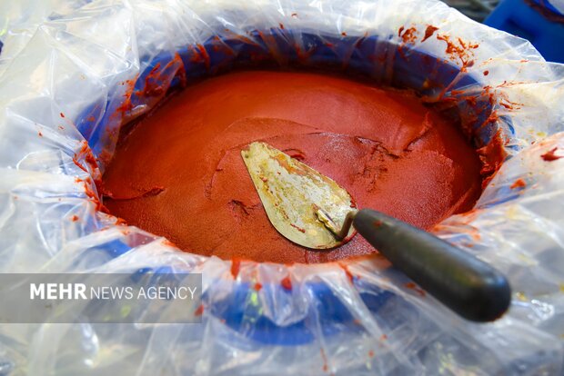 تولید رب گوجه فرنگی